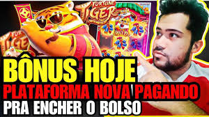 casinos online no brasil imagem de tela 6